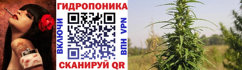 Магазин наркотиков Пустошка KRAKEN ТОР Галлюциногенные грибы Меф мяу мяу APVP МАРИХУАНА
