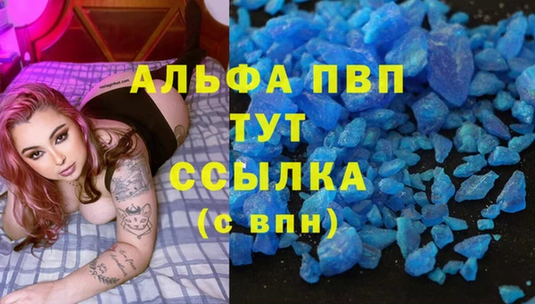 сатива Арсеньев
