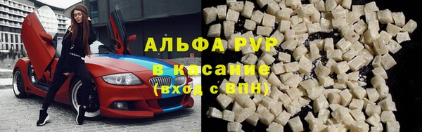 сатива Арсеньев