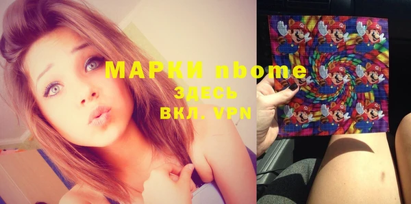 сатива Арсеньев
