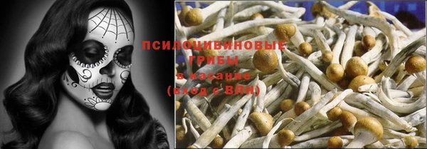 каннабис Аркадак