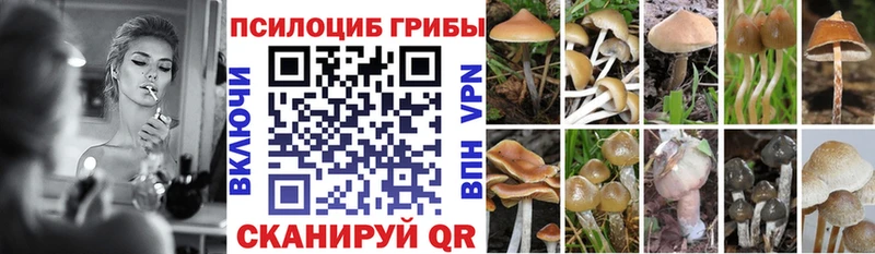 Галлюциногенные грибы Psilocybine cubensis  Пустошка 